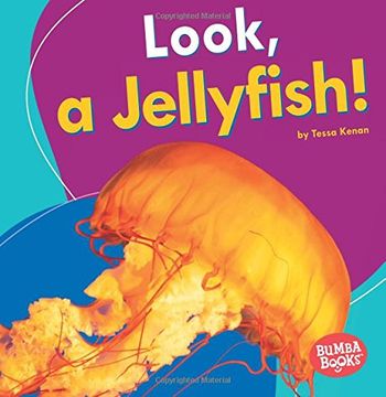 portada Look, a Jellyfish! (Bumba Books: I See Ocean Animals)