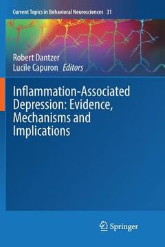 portada Inflammation-Associated Depression: Evidence, Mechanisms and Implications (in English)