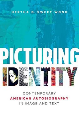 portada Picturing Identity: Contemporary American Autobiography in Image and Text (in English)