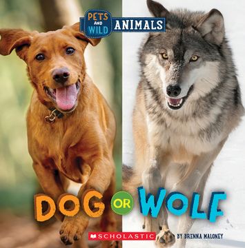 portada Dog or Wolf (Wild World: Pets and Wild Animals)