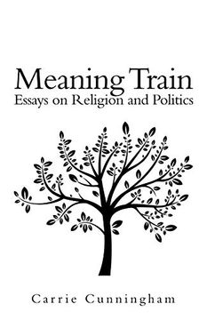 portada Meaning Train: Essays on Religion and Politics (in English)
