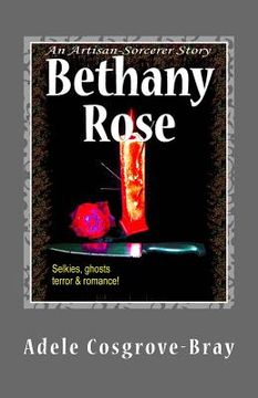 portada Bethany Rose: An Artisan-Sorcerer Story (en Inglés)