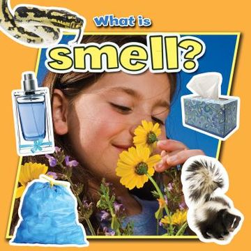 portada what is smell? (en Inglés)