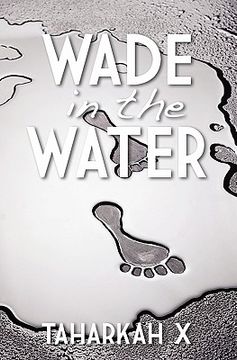 portada wade in the water (en Inglés)