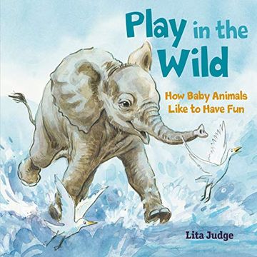 portada Play in the Wild: How Baby Animals Like to Have Fun (en Inglés)