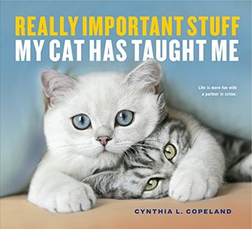 portada Really Important Stuff My Cat Has Taught Me (en Inglés)