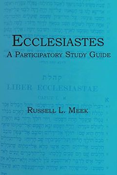 portada Ecclesiastes: A Participatory Study Guide (en Inglés)