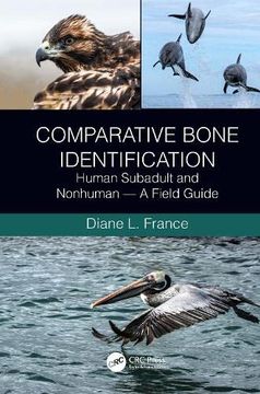portada Comparative Bone Identification: Human Subadult and Nonhuman - a Field Guide (en Inglés)