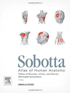 portada Sobotta Tables of Muscles, Joints and Nerves, English: Tables to 15th ed. of the Sobotta Atlas, 1e