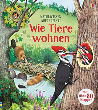 portada Naturwissen Aufgedeckt! Wie Tiere Wohnen (in German)