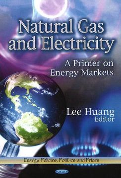 portada Natural gas and Electricity: A Primer on Energy Markets (Energy Policies, Politics and Prices: Energy Science, Engineering and Technology) 