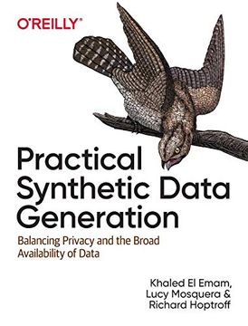 portada Practical Synthetic Data Generation: Balancing Privacy and the Broad Availability of Data (en Inglés)