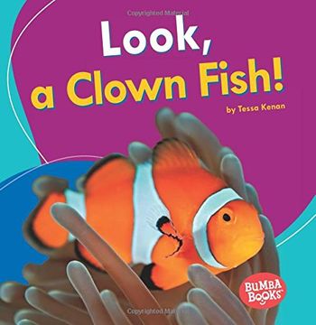 portada Look, a Clown Fish! (en Inglés)