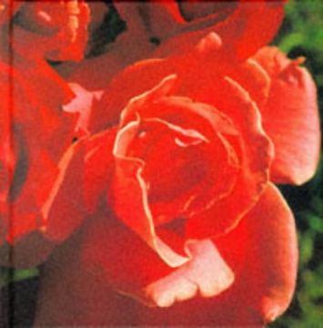 portada Red (Colour Garden) (in English)
