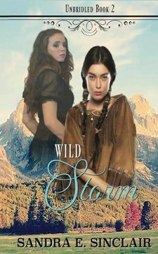 portada Wild Storm (The Unbridled Series) (Volume 2)