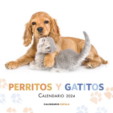 portada Calendario Perritos y Gatitos 2024 (in Spanish)