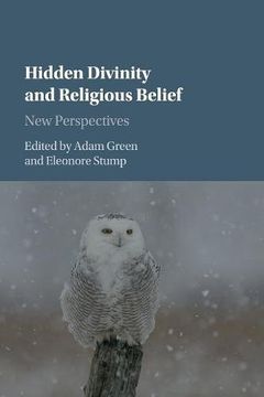 portada Hidden Divinity and Religious Belief: New Perspectives (en Inglés)
