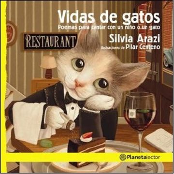 portada Vida de Gatos Poemas Para Cantar con un Niño o un Gato (in Spanish)