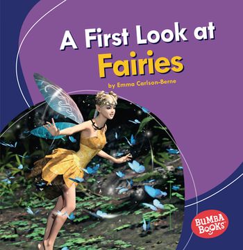 portada A First Look at Fairies (en Inglés)