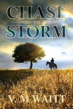 portada Chase the Storm