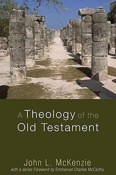 portada a theology of the old testament