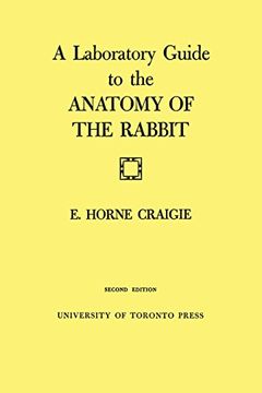 portada A Laboratory Guide to the Anatomy of the Rabbit: Second Edition (en Inglés)
