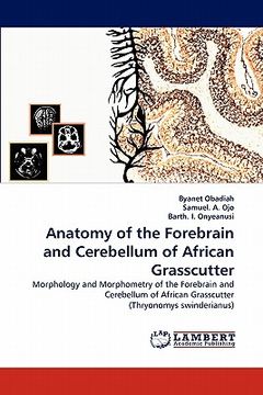 portada anatomy of the forebrain and cerebellum of african grasscutter (en Inglés)