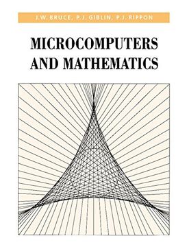 portada Microcomputers and Mathematics (en Inglés)