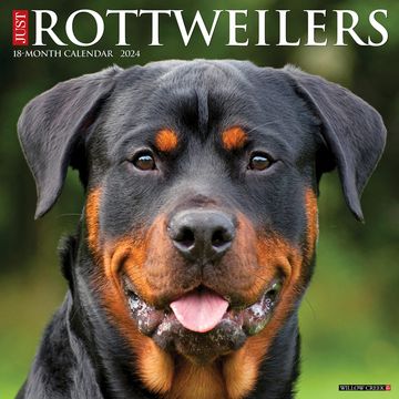 portada Just Rottweilers 2024 Calendar (en Inglés)
