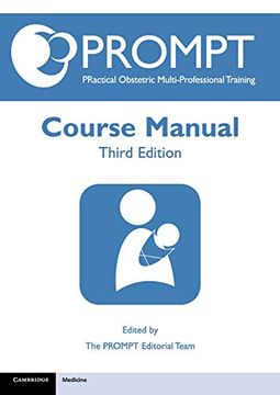 portada Prompt Course Manual (en Inglés)