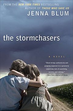 portada The Stormchasers (en Inglés)