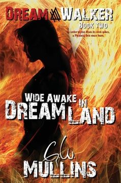 portada Wide Awake In Dream Land (en Inglés)