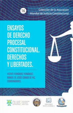 portada ENSAYOS DE DERECHO PROCESAL CONSTITUCIONAL. DERECHOS Y LIBERTADES (in Spanish)