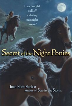 secret of the night ponies