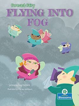portada Flying Into fog (Forecast Fairy) (en Inglés)