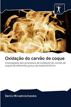 portada Oxidação do Carvão de Coque: Investigação dos Processos de Oxidação do Carvão de Coque de Diferentes Graus de Metamorfismo