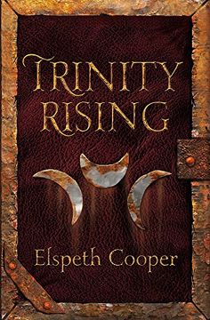portada Trinity Rising: The Wild Hunt Book Two: 2/4 (Wild Hunt Trilogy)