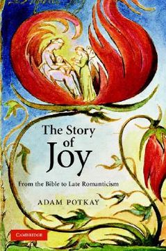 portada The Story of joy Hardback: From the Bible to Late Romanticism (in English)