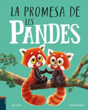 portada La Promesa de les Pandes (en Catalá)
