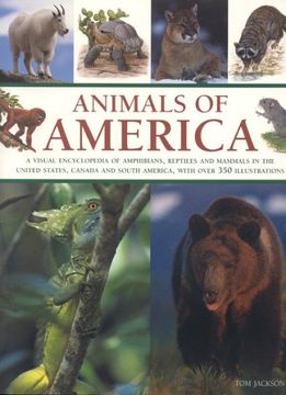 portada Animals of America: A Visual Encyclopedia of Amphibians, Reptiles and Mammals of the United States, Canada and South America. (en Inglés)