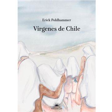 portada Vírgenes de Chile