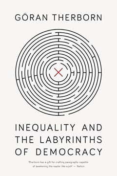 portada Inequality and the Labyrinths of Democracy (en Inglés)