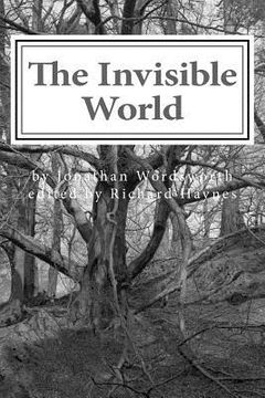 portada The Invisible World: Lectures on British Romantic Poetry and the Romantic Imagination (en Inglés)