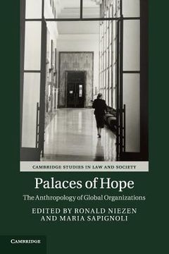 portada Palaces of Hope: The Anthropology of Global Organizations (Cambridge Studies in law and Society) (in English)