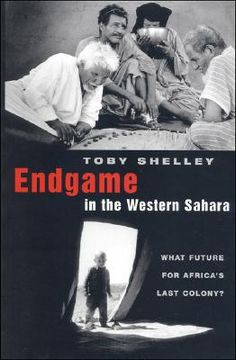 portada endgame in the western sahara: what future for africa's last colony?