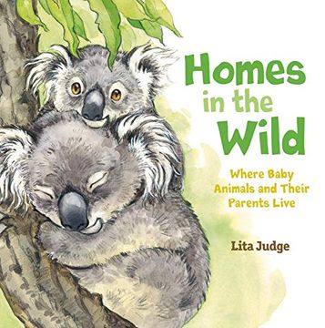 portada Homes in the Wild: Where Baby Animals and Their Parents Live (en Inglés)