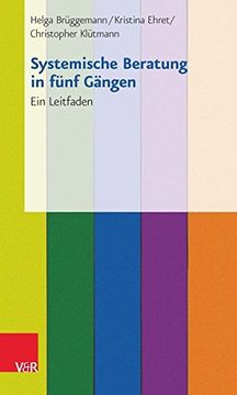 portada Systemische Beratung in Funf Gangen: 25 Praxiskarten (en Alemán)