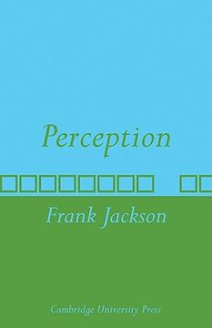 portada Perception: A Representative Theory (en Inglés)
