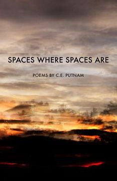 portada Spaces Where Spaces Are (in English)