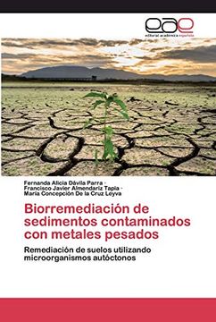 portada Biorremediación de Sedimentos Contaminados con Metales Pesados: Remediación de Suelos Utilizando Microorganismos Autóctonos